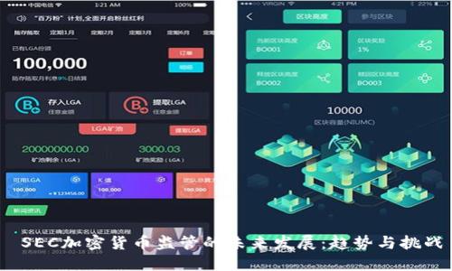  SEC加密货币监管的未来发展：趋势与挑战