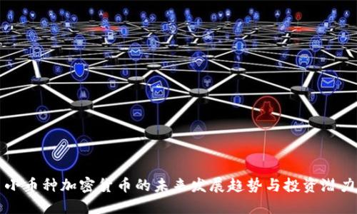 小币种加密货币的未来发展趋势与投资潜力