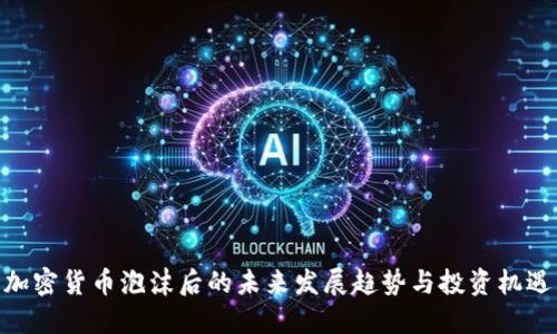 加密货币泡沫后的未来发展趋势与投资机遇