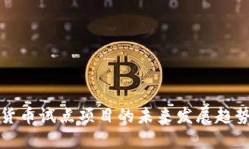 加密货币试点项目的未来发展趋势探索