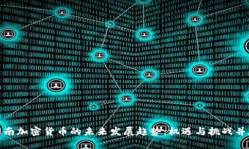 海南加密货币的未来发展趋势：机遇与挑战并存