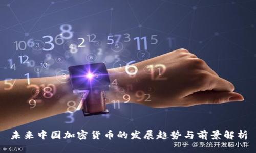 未来中国加密货币的发展趋势与前景解析