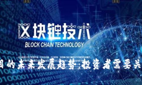  加密数字货币项目的未来发展趋势：投资者需要关注的五个关键领域