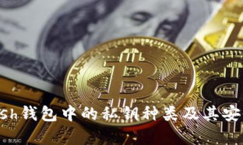 全面解析Zcash钱包中的私钥种类及其安全性发展趋势