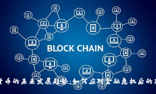 加密货币的未来发展趋势：如何应对金融危机后的新挑战