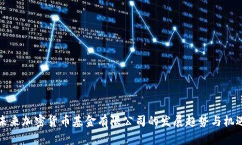 未来加密货币基金有限公司的发展趋势与机遇