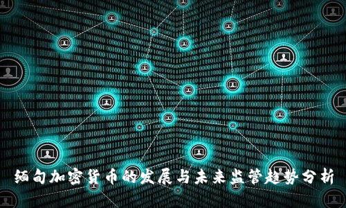 缅甸加密货币的发展与未来监管趋势分析