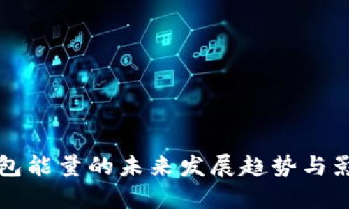 波场钱包能量的未来发展趋势与影响分析