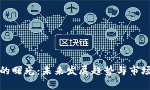 加密货币的曙光：未来发展趋势与市场前景分析